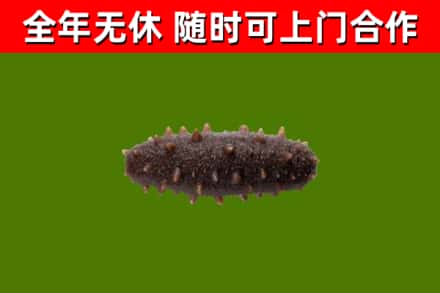 市北区烟酒回收干海参.jpg